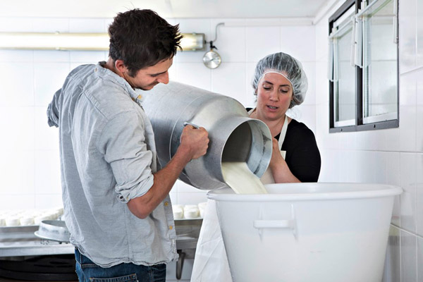 La famille Sotta prépare les tommes de chèvre La Biquette