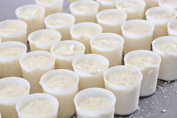 Processus de fabrication de nos tommes de chèvre La Biquette